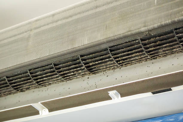 Best HVAC Air Duct Cleaning  in Prospect, KY